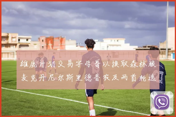 雄鹿计划交易字母哥以换取森林狼麦克丹尼尔斯里德香农及两首轮选秀权