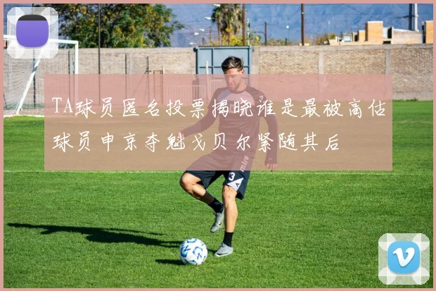 TA球员匿名投票揭晓谁是最被高估球员申京夺魁戈贝尔紧随其后