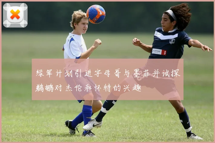 绿军计划引进字母哥与墨菲并试探鹈鹕对杰伦和怀特的兴趣